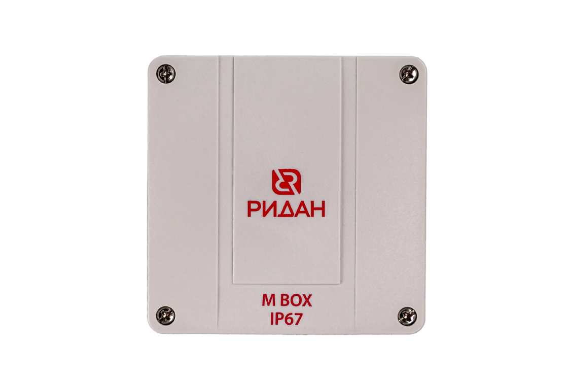 21RT0928R Ридан M BOX серая front.png